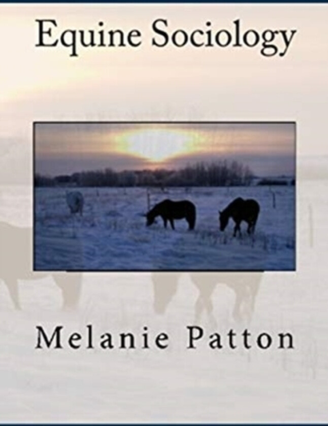 Equine Sociology av Melanie Patton (Paperback)