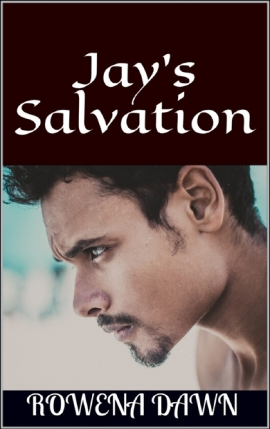 Jay's Salvation av Rowena Dawn (Paperback)