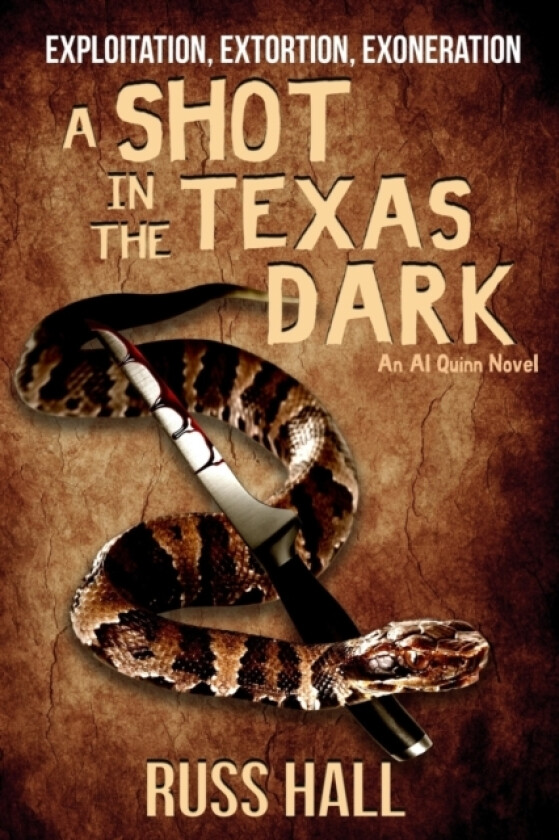 A Shot in the Texas Dark av Russ Hall (Paperback)