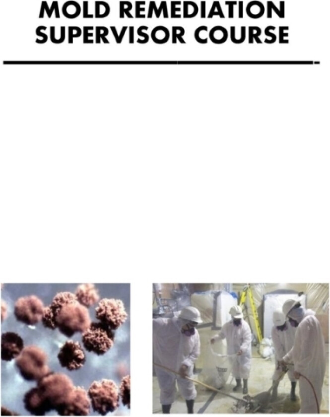 Mold Remediation Supervisor Course av Mold Training School (Paperback)