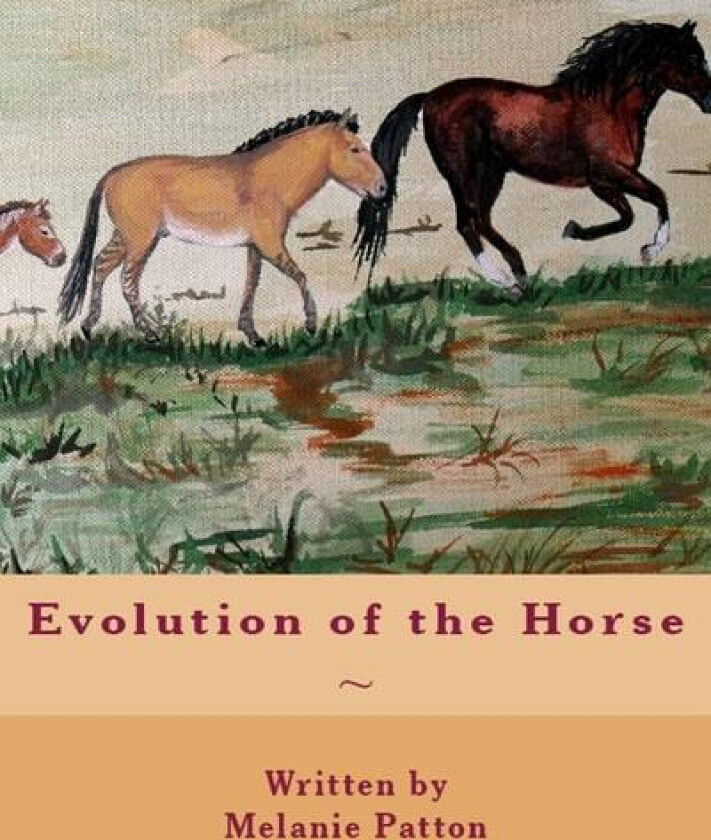 Evolution of the Horse av Melanie Patton (Paperback)