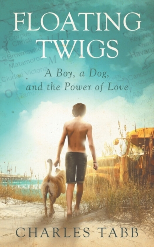 Floating Twigs av Charles Tabb (Paperback)