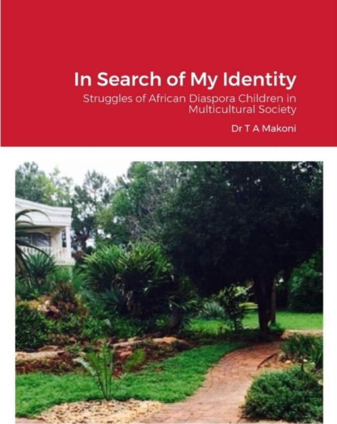 In Search of My Identity av Tawafadza Anold Makoni, Tawafadza Makoni (Paperback)