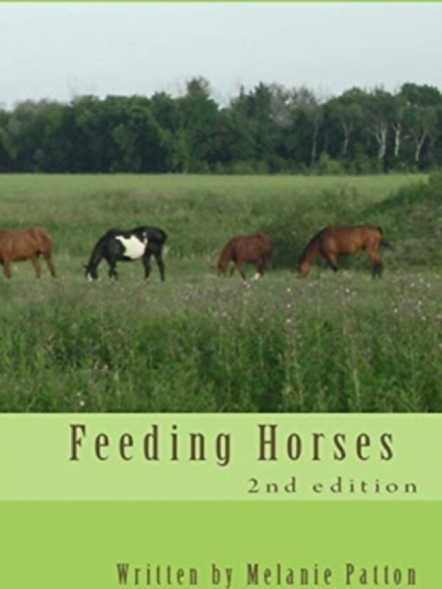 Feeding Horses av Melanie Patton (Paperback)