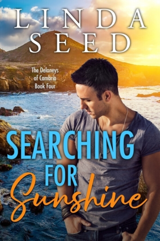 Searching for Sunshine av Linda Seed (Paperback)
