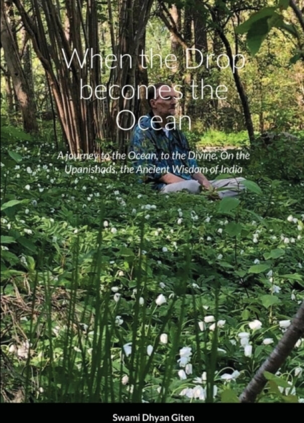 When the Drop becomes the Ocean av Swami Dhyan Giten (Paperback)