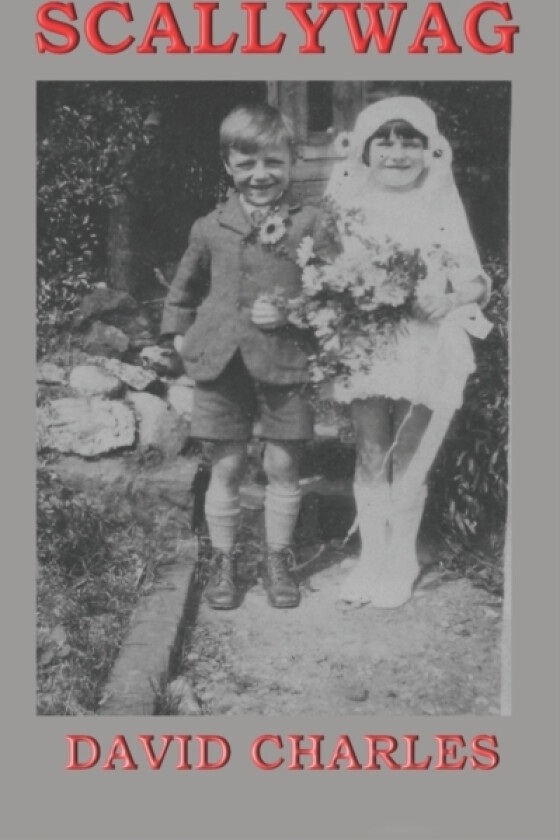 Scallywag av David Charles (Paperback)
