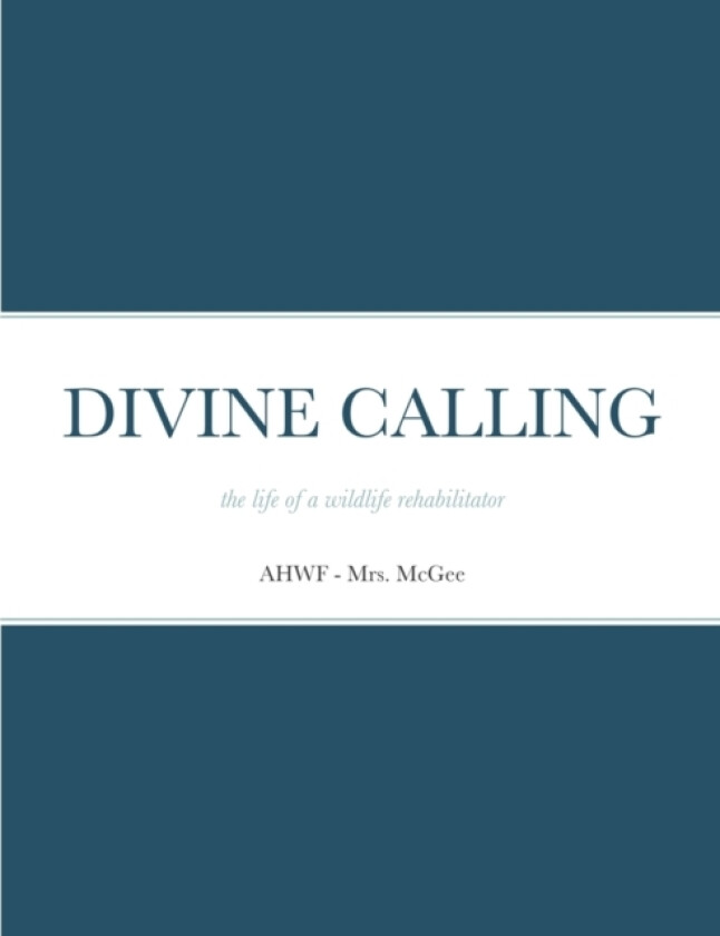 Divine Calling av Mrs McGee (Paperback)