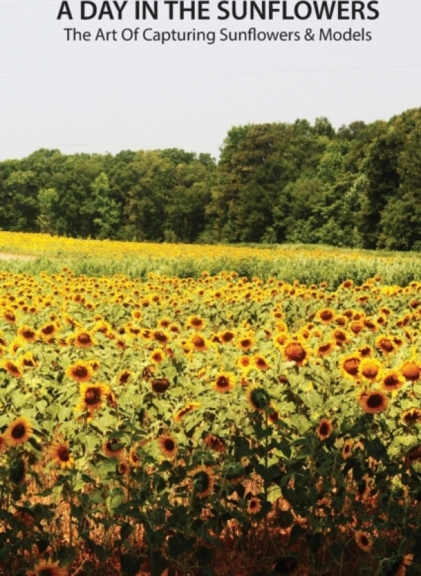 A day in the sunflowers av Louis Jones (Paperback)