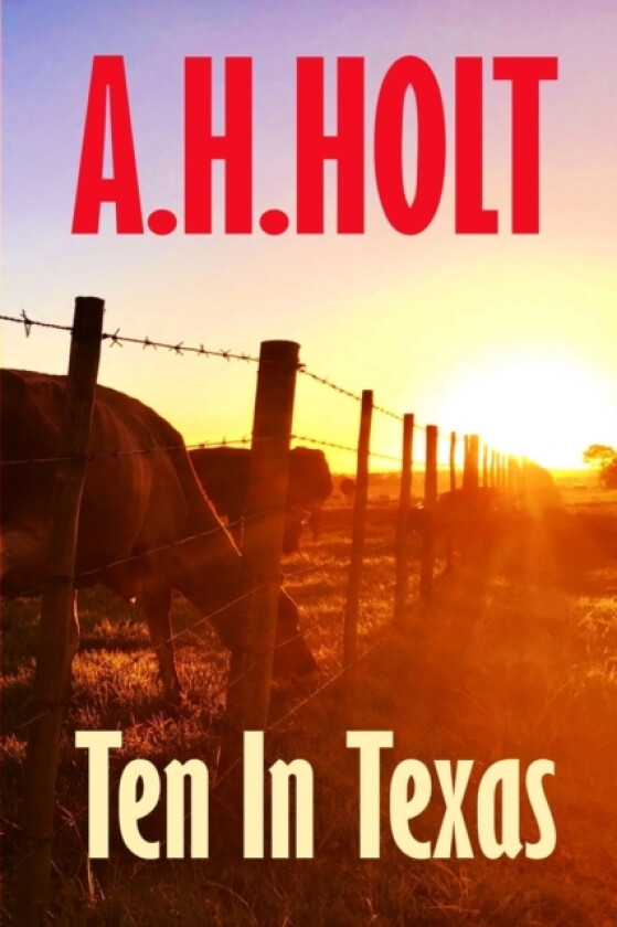 Ten in Texas av A H Holt (Paperback)