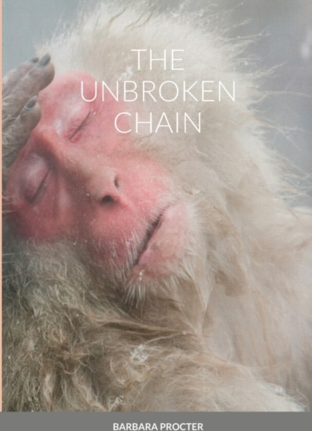 The Unbroken Chain av Barbara Procter (Paperback)