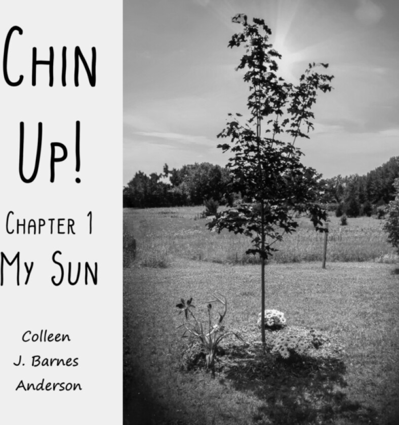 Chin Up! av Colleen J Barnes Anderson (Paperback)