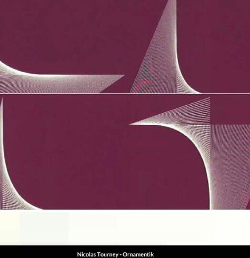 Ornamentik av Nicolas Tourney (Hardcover)