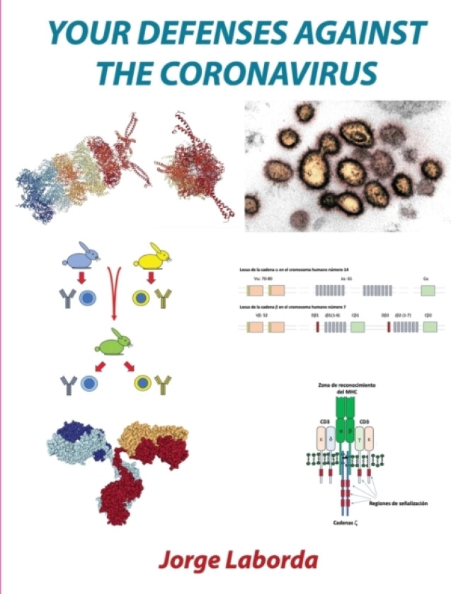 Your defenses against the coronavirus av Jorge Laborda (Paperback)