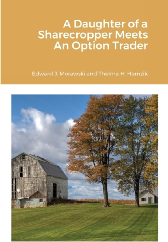 A Daughter of a Sharecropper Meets An Option Trader av Edward J Morawski, Thelma H Hamzik (Paperback)