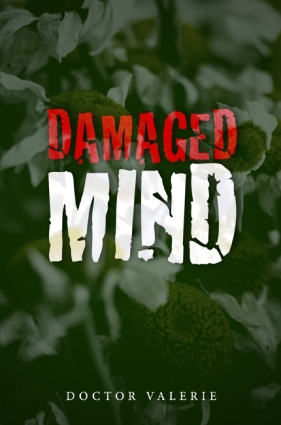 Damaged Mind av Doctor Valerie (Paperback)