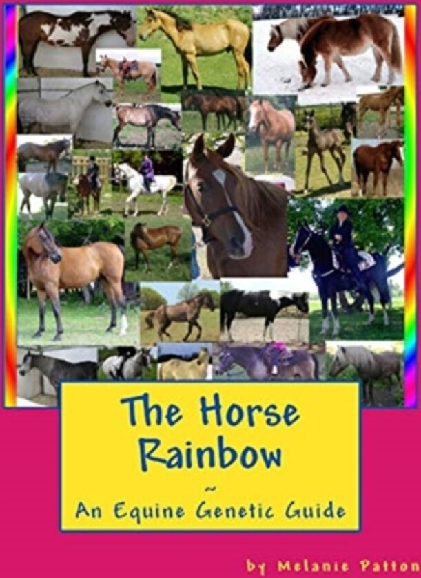 The Horse Rainbow av Melanie Patton (Paperback)