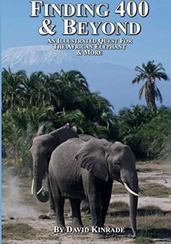 Finding 400 & Beyond av David Kinrade (Paperback)