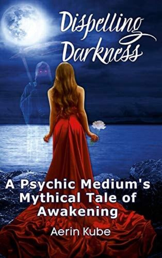 Dispelling Darkness av Aerin Kube (Hardcover)
