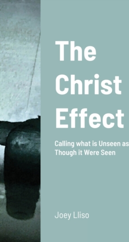 The Christ Effect av Edgard Lliso (Paperback)