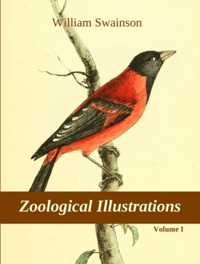 Zoological Illustrations, vol. I av William Swainson (Paperback)