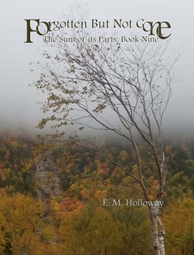 Forgotten But Not Gone av E M Holloway (Paperback)