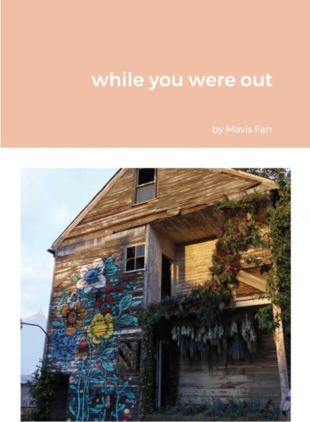 while you were out av Mavis Farr (Paperback)