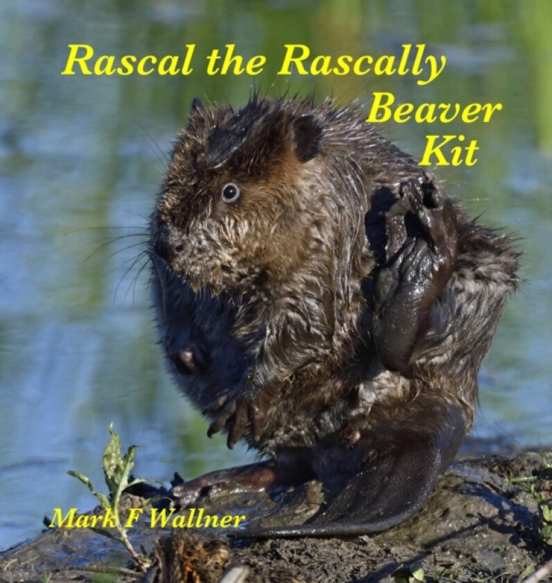 Rascal the Rascally Beaver Kit av Mark Wallner (Hardcover)