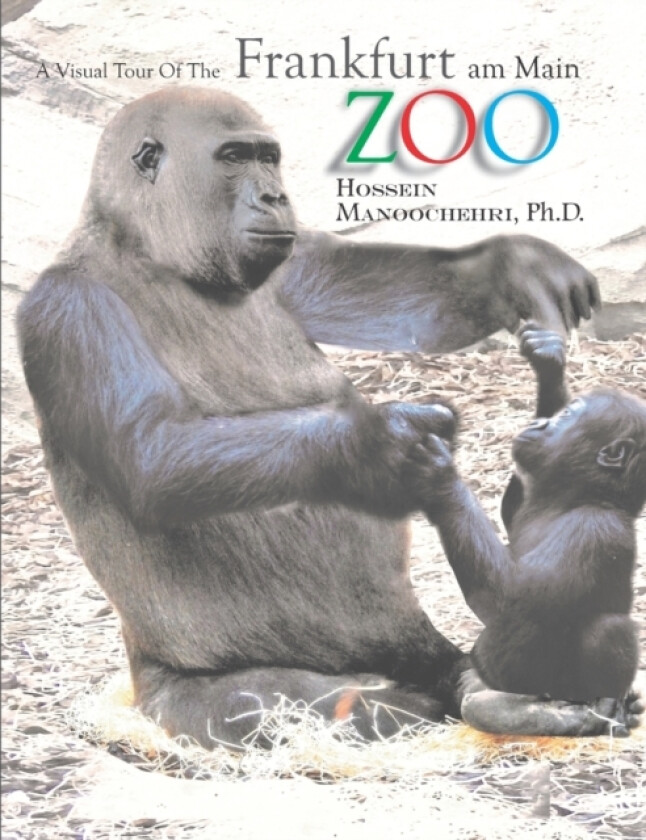 Frankfurt am Main Zoo av Hossein PH D Manoochehri (Paperback)