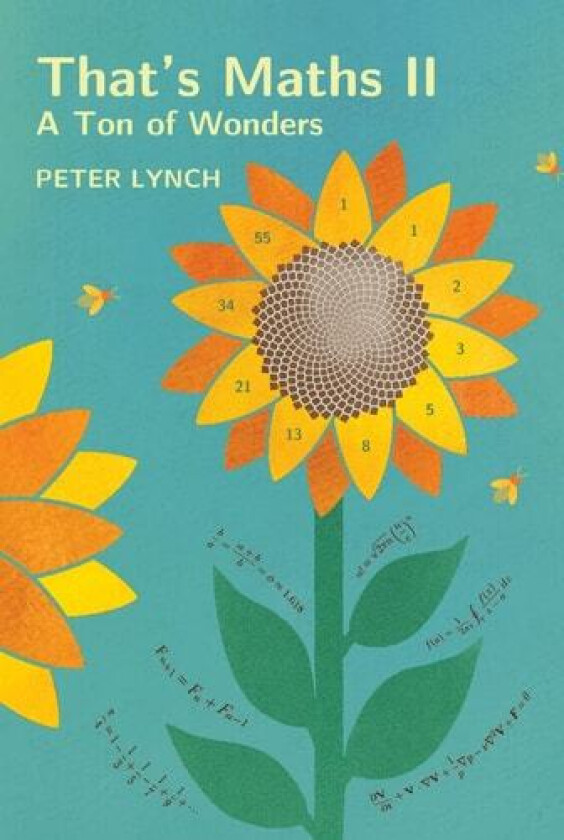 That's Maths II av Peter Lynch (Paperback)