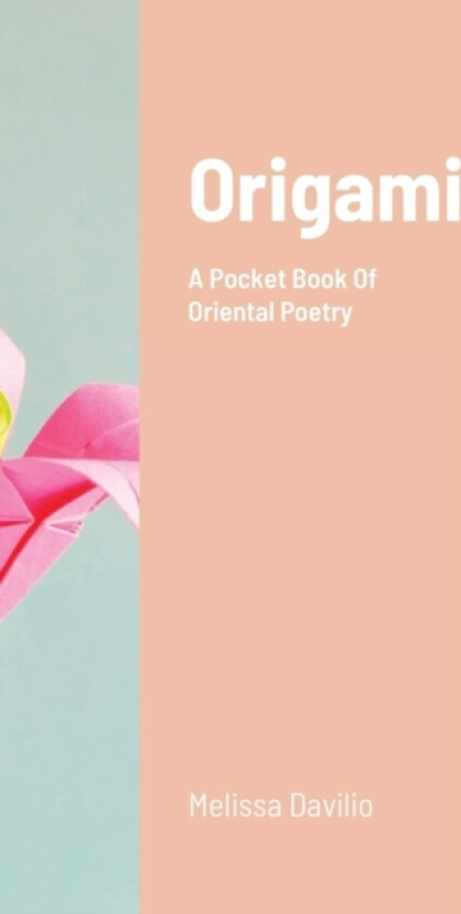 Origami av Melissa Davilio (Paperback)