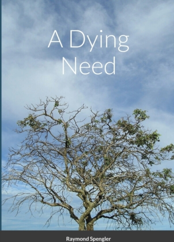 A Dying Need av Raymond Spengler (Paperback)