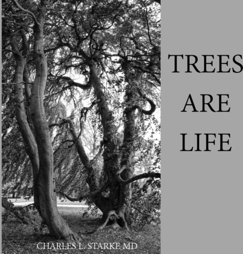 Trees Are Life av Charles L MD Starke (Paperback)