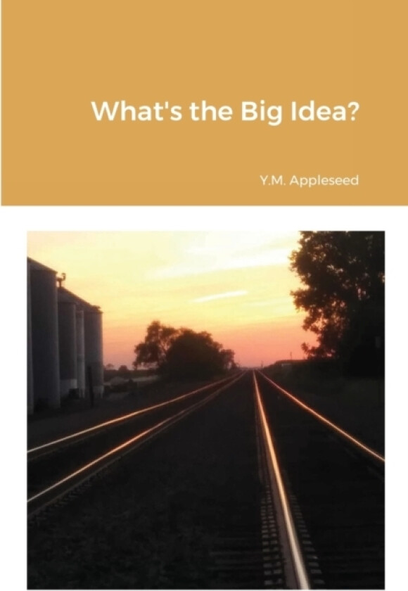 What's the Big Idea? av Y M Appleseed (Paperback)