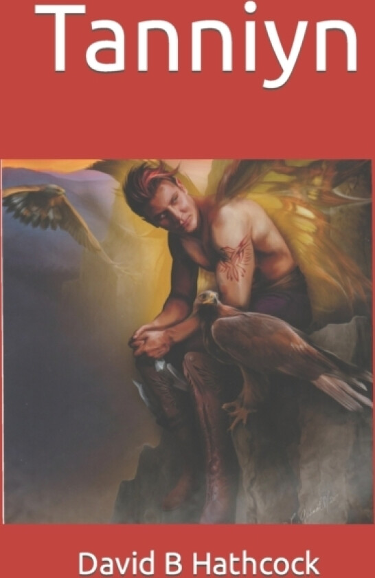 Tanniyn av David B B Hathcock (Paperback)