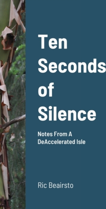 Ten Seconds of Silence av Ric Beairsto (Hardcover)