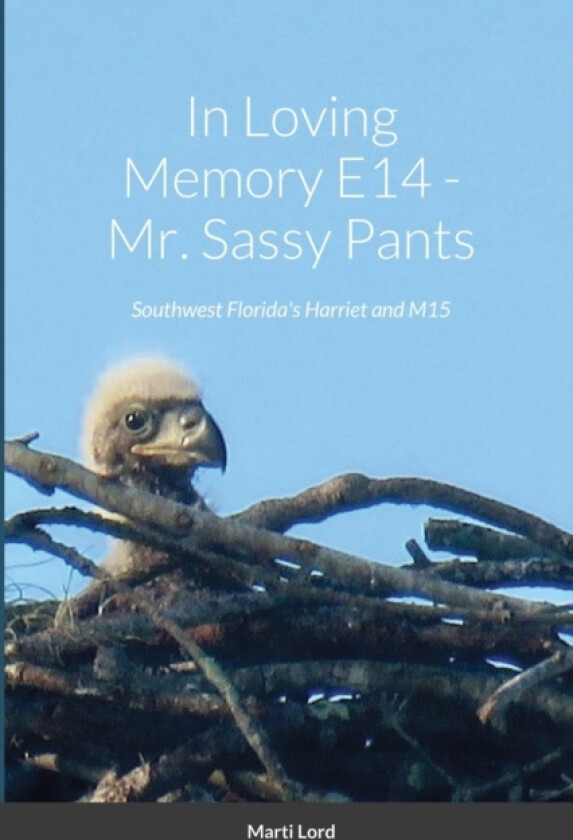 In Loving Memory E14 - Mr. Sassy Pants av Marti Lord (Paperback)