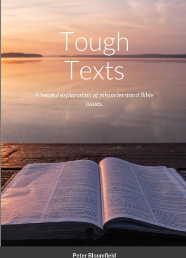 Tough Texts av Peter Bloomfield (Paperback)