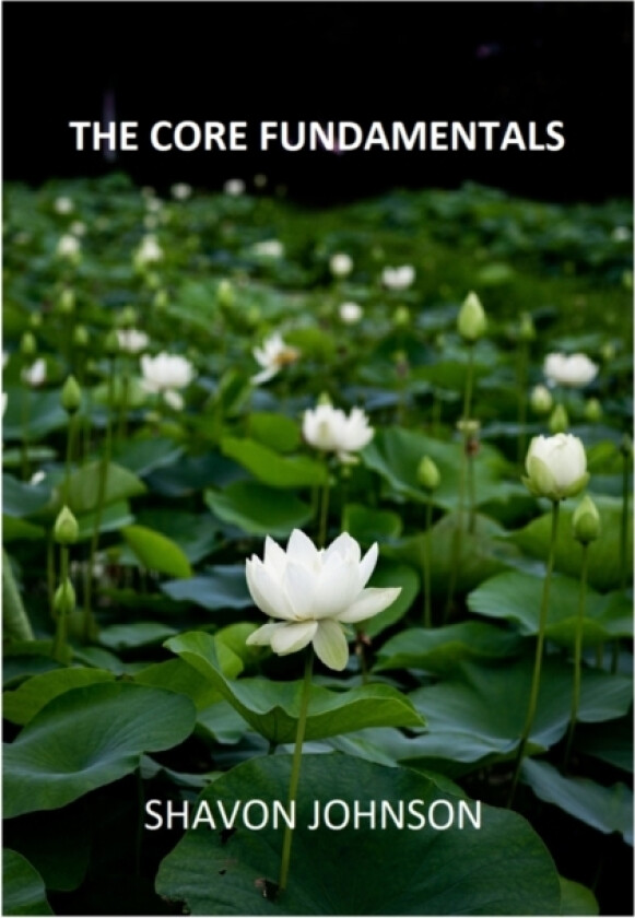 The Core Fundamentals av Shavon Johnson (Paperback)