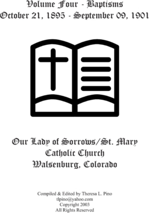 St. Mary Catholic Church Baptisms, Walsenburg, CO av Theresa L Pino (Paperback)
