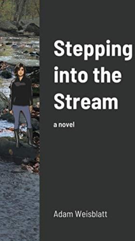 Stepping into the Stream av Adam Weisblatt (Paperback)