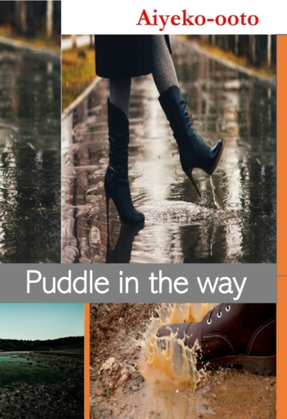 Puddle in The Way av Cash Onadele (Paperback)