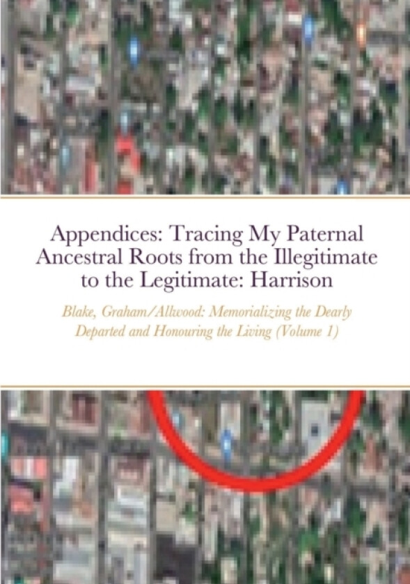 Appendices av Indiana Robinson (Paperback)