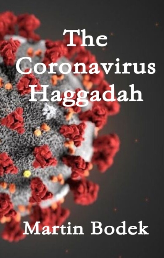 The Coronavirus Haggadah av Martin Bodek (Paperback)