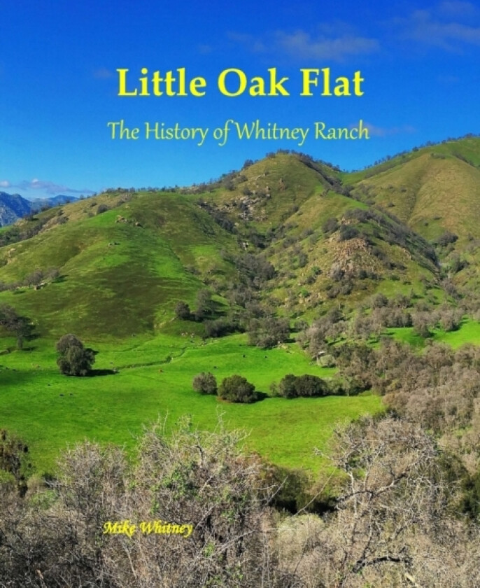 Little Oak Flat av Mike Whitney (Paperback)