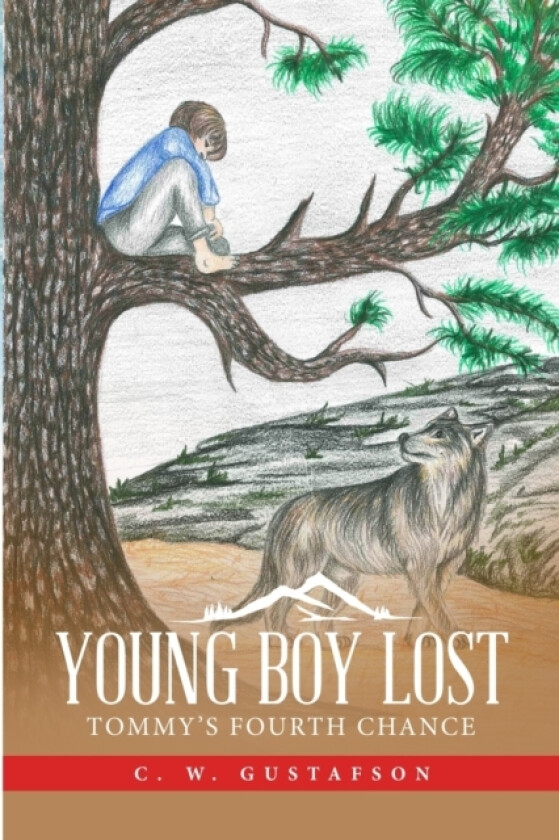 Young Boy Lost av C W Gustafson (Paperback)