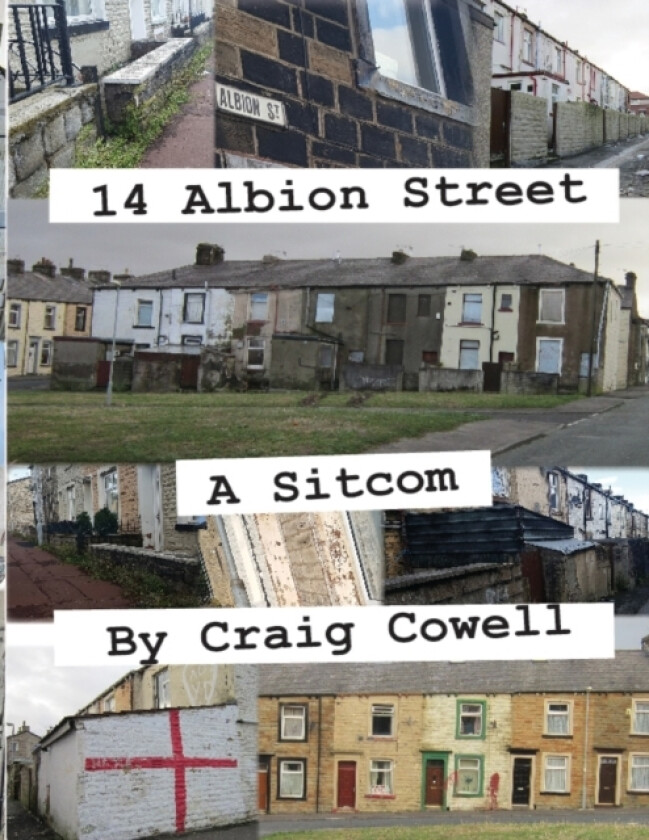 14 Albion Street av Craig Cowell (Paperback)
