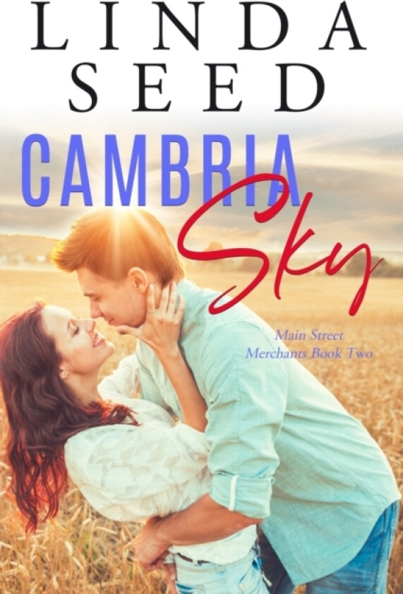 Cambria Sky av Linda Seed (Paperback)