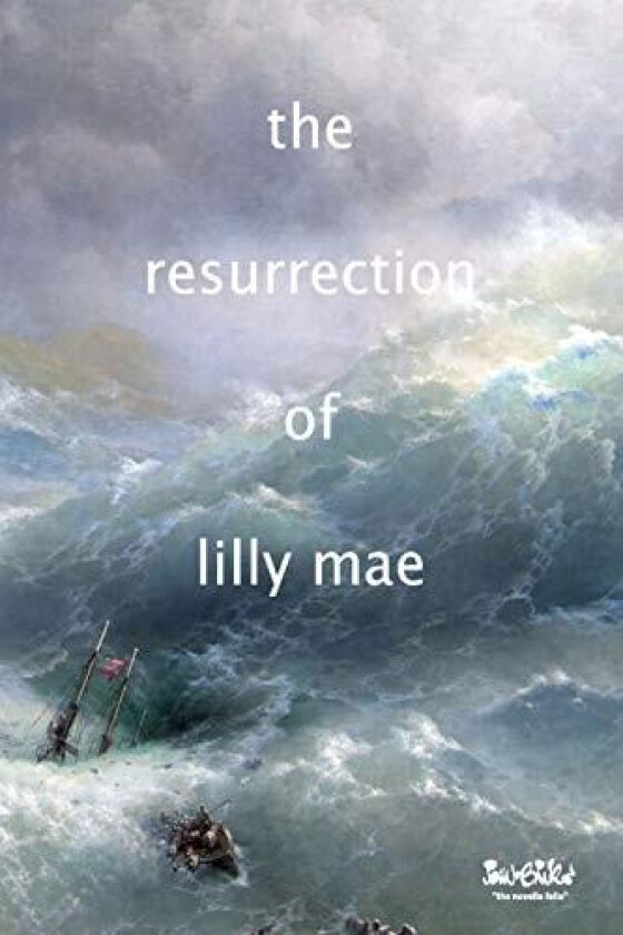 The Resurrection of Lilly Mae: a pelagic novella av john banks (Paperback)