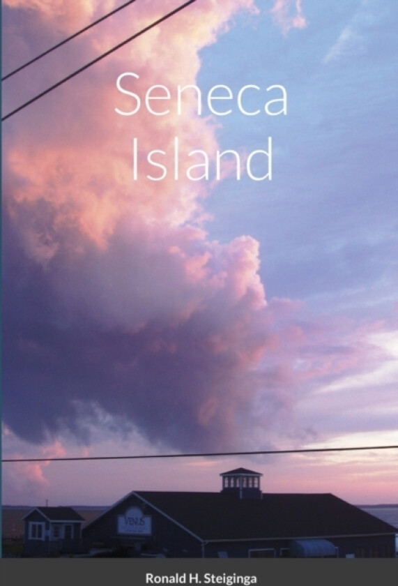 Seneca Island av Ronald H Steiginga (Paperback)